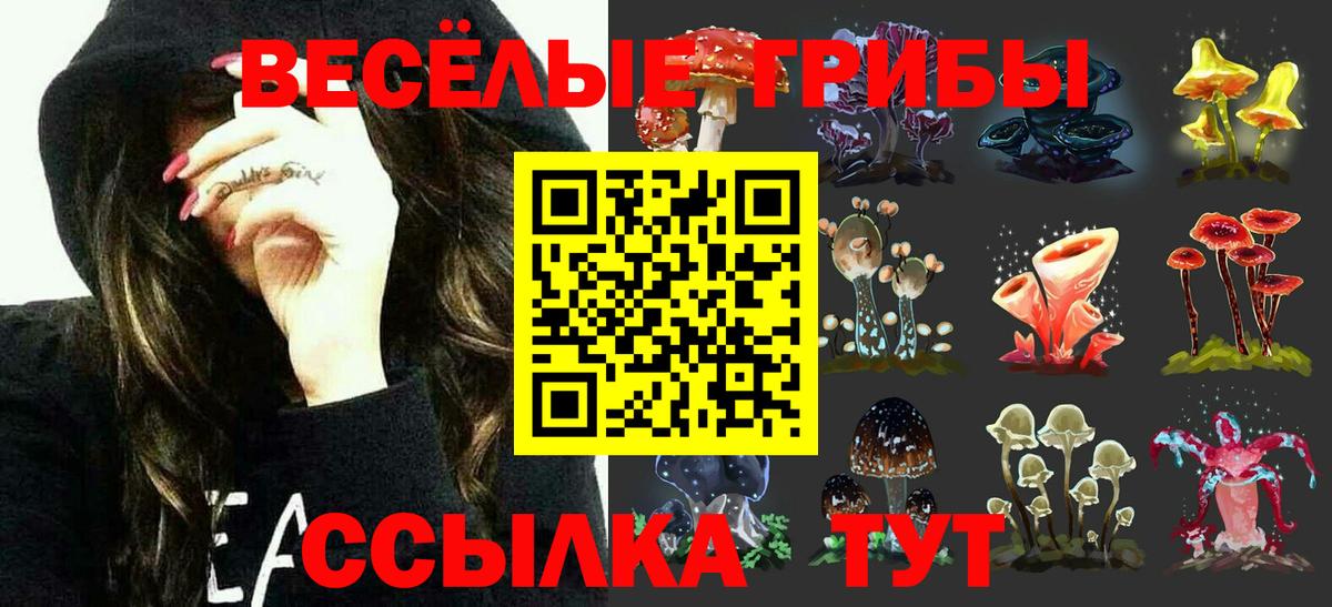 Псилоцибиновые грибы мухоморы  закладка  Первоуральск  Галлюциногенные грибы MAGIC MUSHROOMS  Вход с VPN 