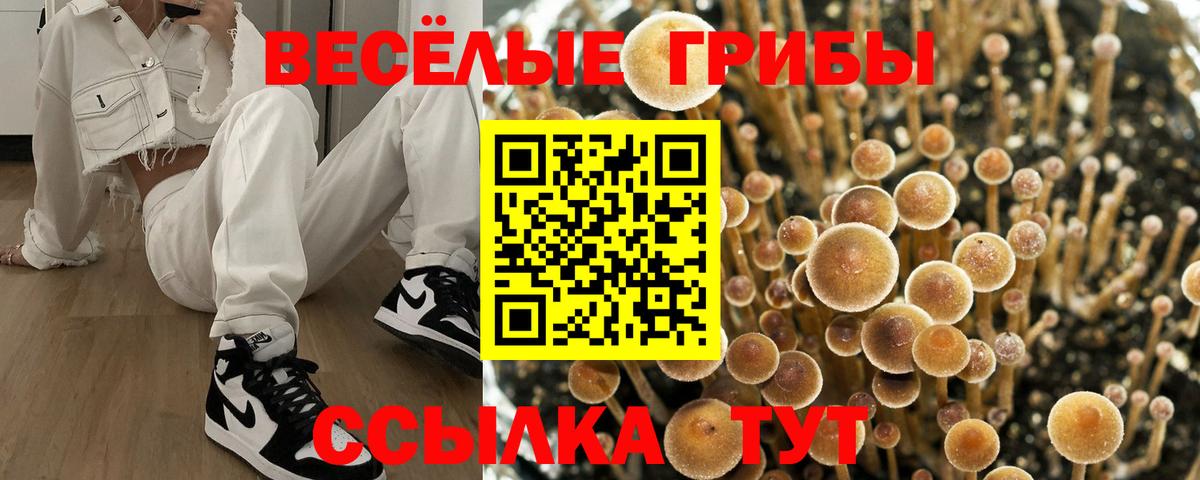 Галлюциногенные грибы Psilocybine cubensis Первоуральск